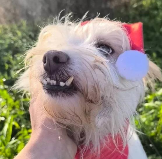 Screenshot 2026-03-16 143203.png