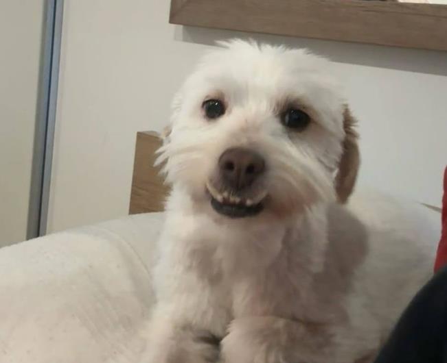 Screenshot 2026-03-16 143211.png