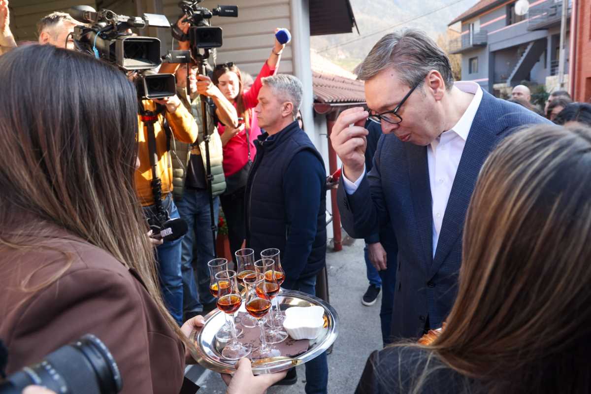 Aleksandar Vučić Sevojno  (5).jpeg