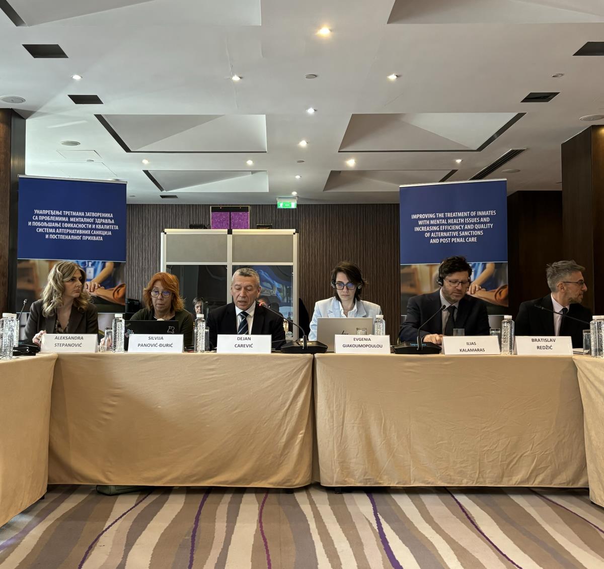 Carević o unapređenju tretmana lica sa mentalnim smetnjama