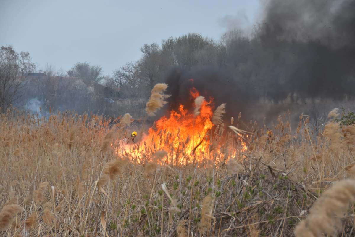 WhatsApp Image 2026-03-17 at 19.12.07 (1).jpeg