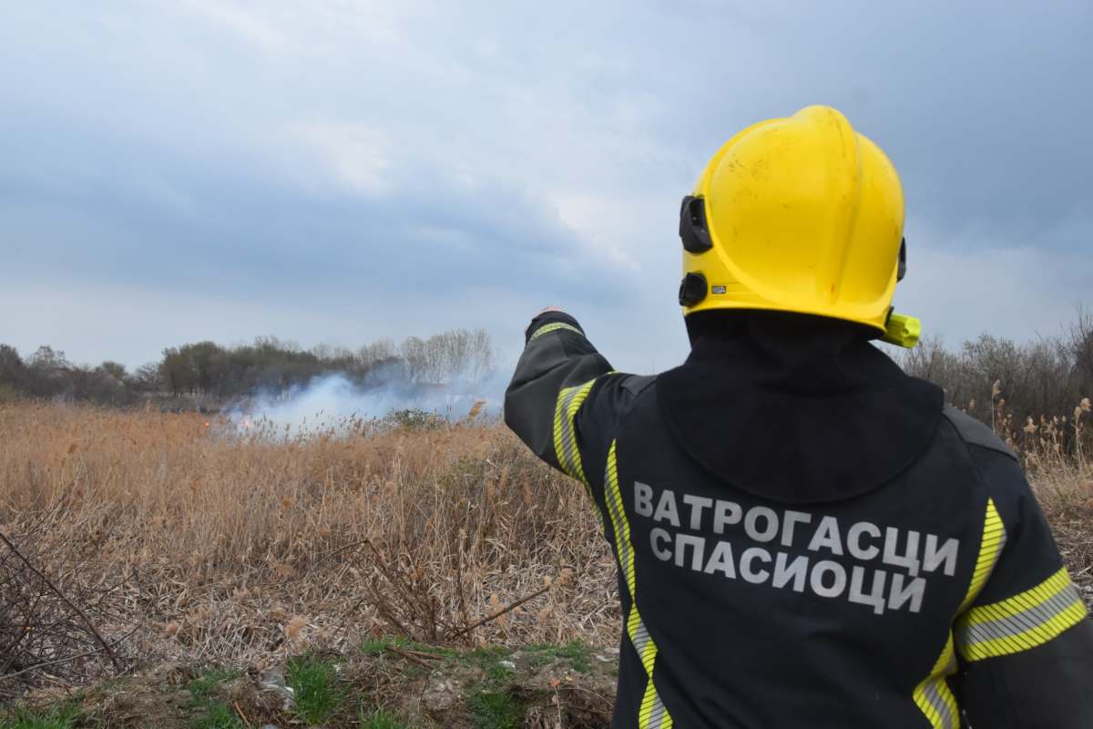 WhatsApp Image 2026-03-17 at 19.12.07.jpeg