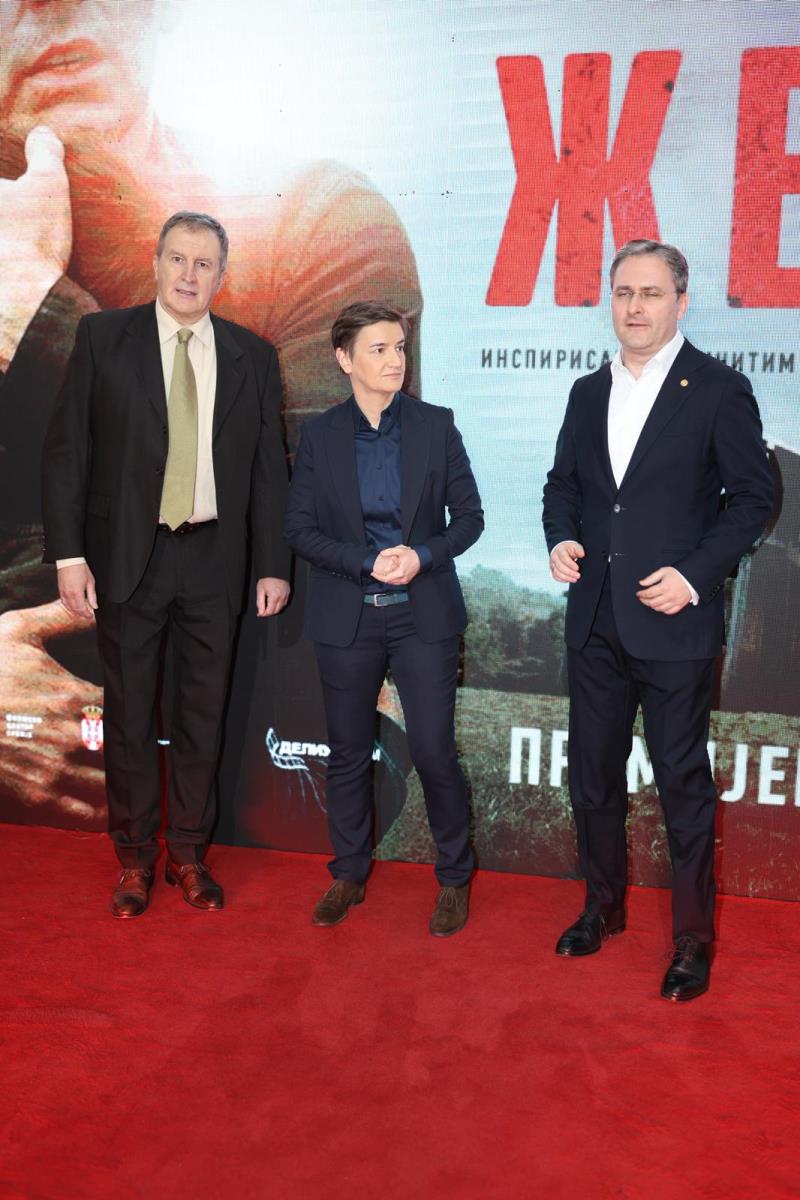 WhatsApp Image 2026-03-17 at 20.34.37 (1).jpeg