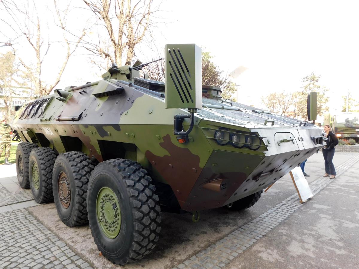 LOZNICA - Lazar 3.JPG