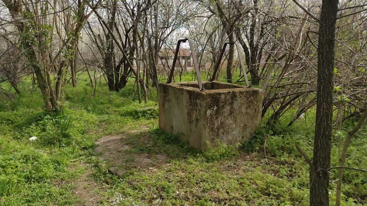 Aleksainac Tešica Bunar Psi (2).jpeg