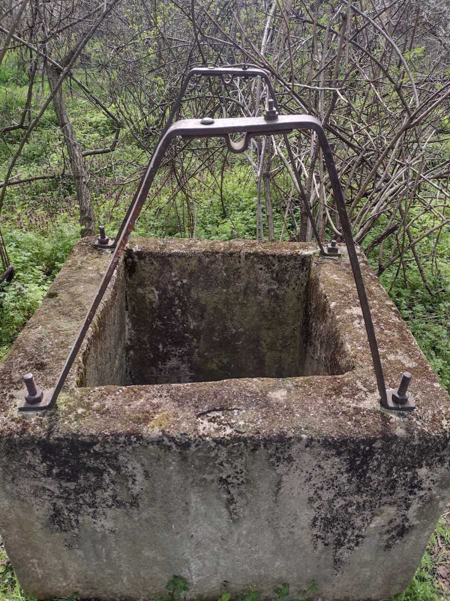 Aleksainac Tešica Bunar Psi (3).jpeg