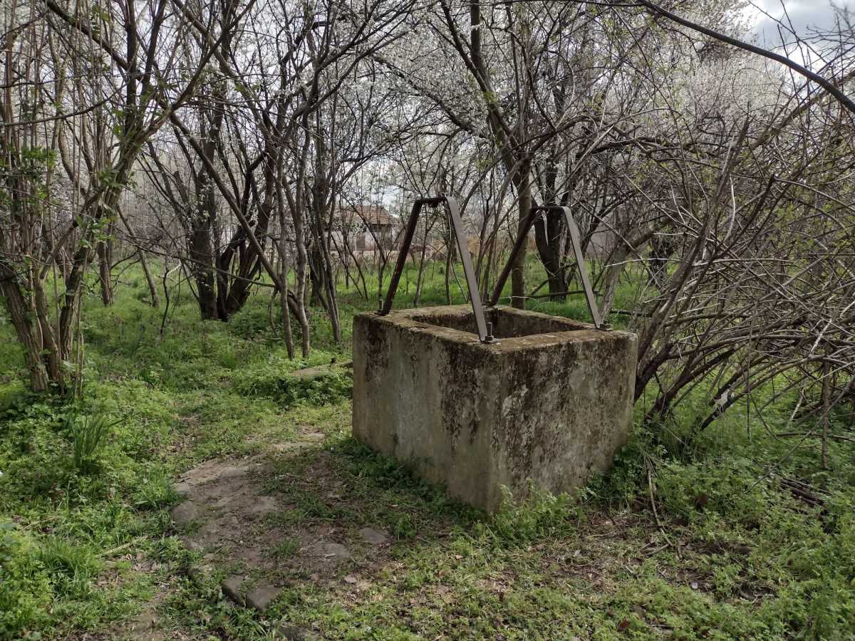 Aleksainac Tešica Bunar Psi (4).jpeg