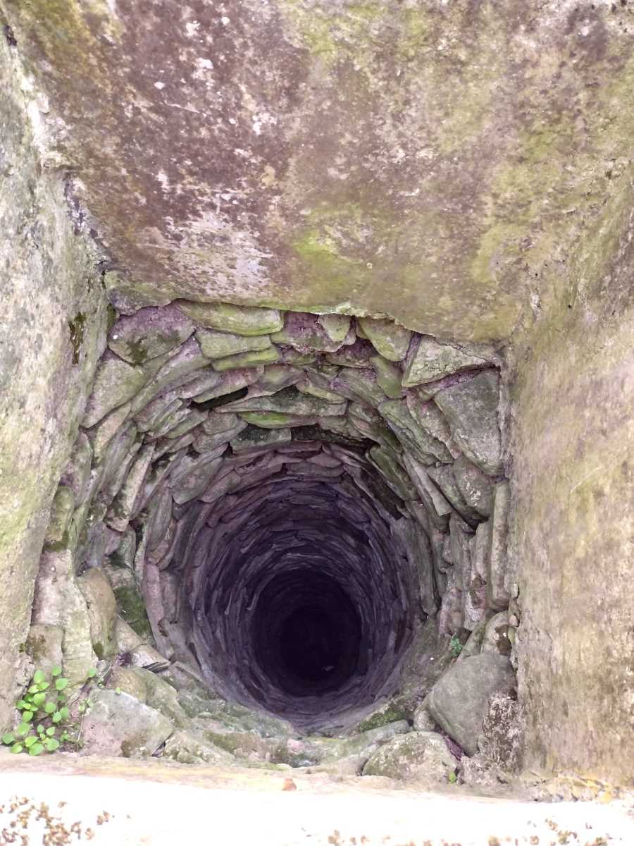 Aleksainac Tešica Bunar Psi (6).jpeg