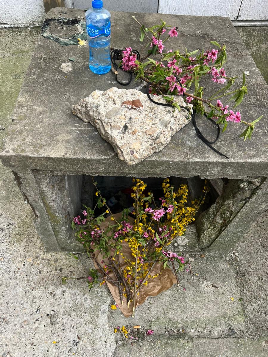 Stela Savić (5).jpeg