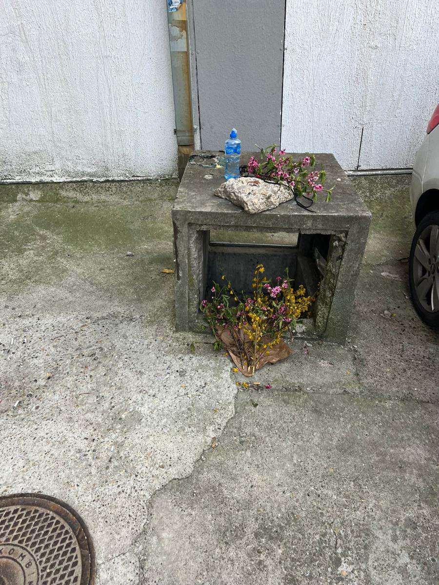 Stela Savić (3).jpeg