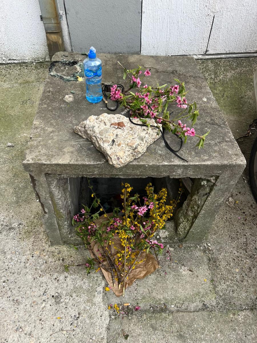 Stela Savić (2).jpeg