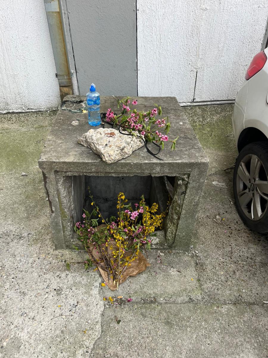 Stela Savić (1).jpeg