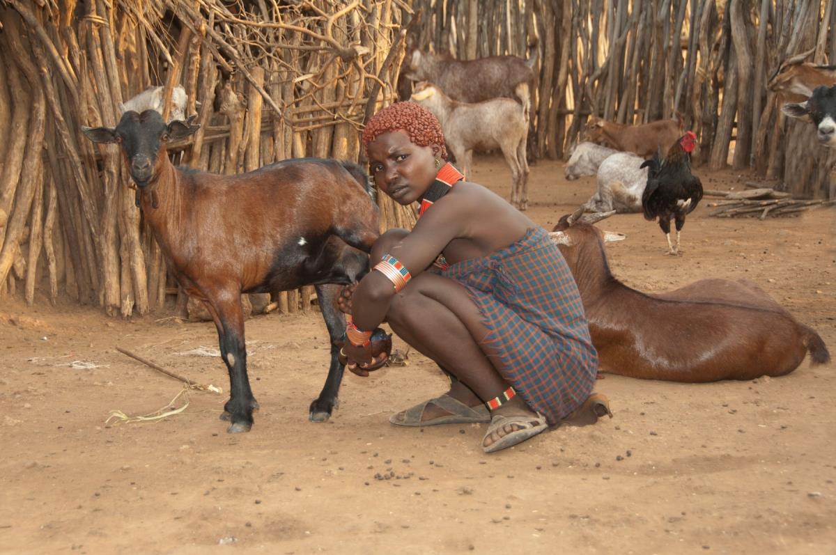 Pleme Hamar - bizarni rituali i način života