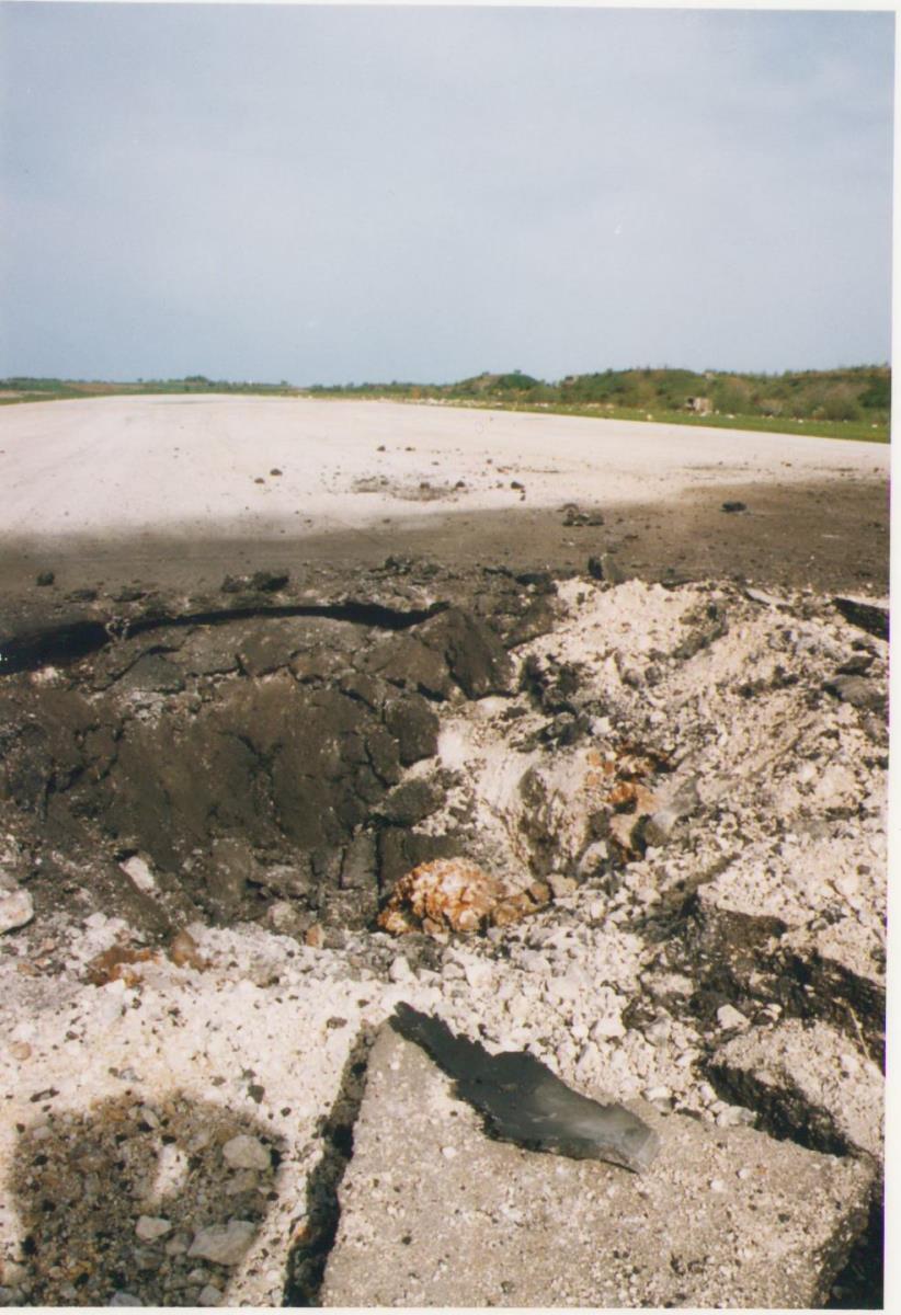 Dragan Krsmanovic7.jpg