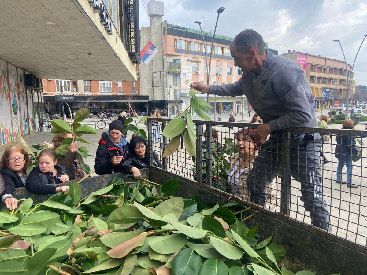 WhatsApp Image 2026-03-24 at 15.54.41.jpeg