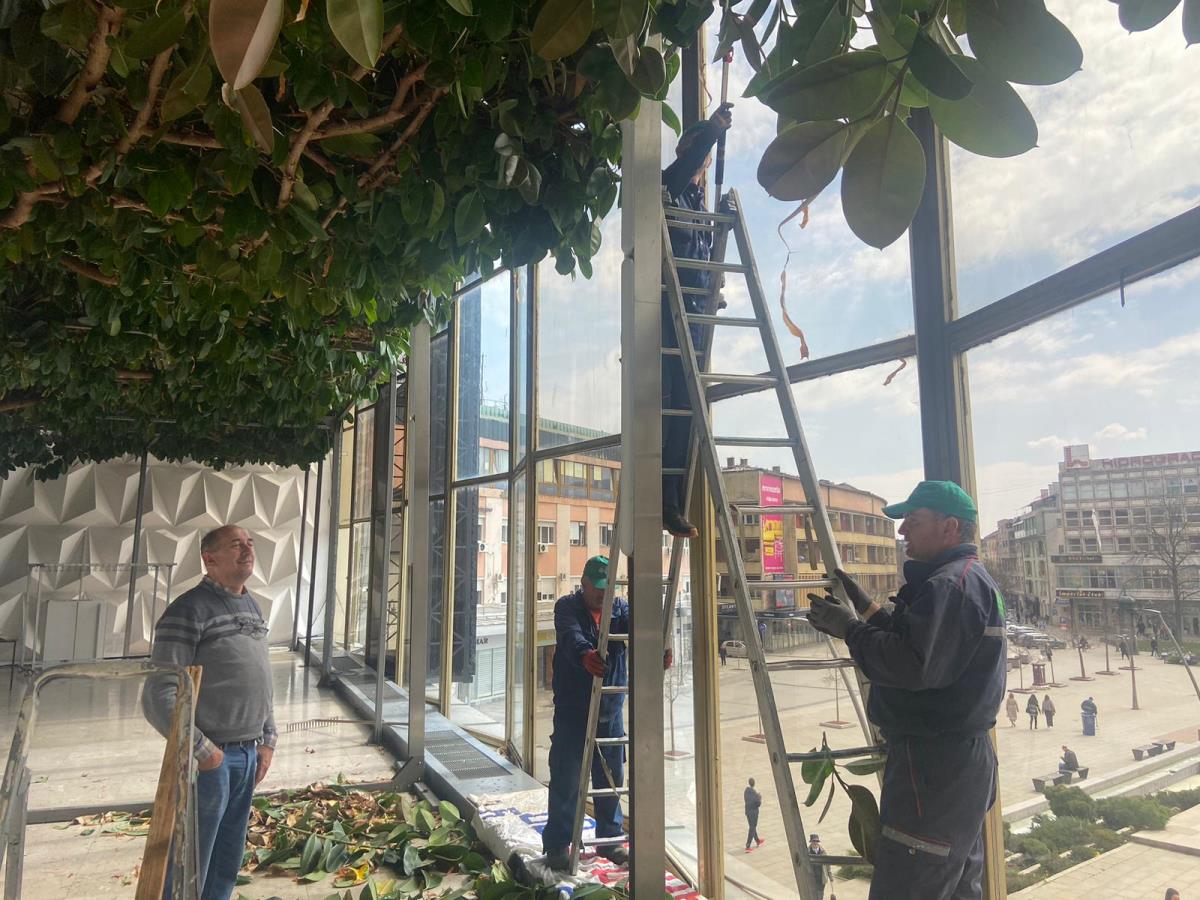 WhatsApp Image 2026-03-24 at 15.54.42 (1).jpeg