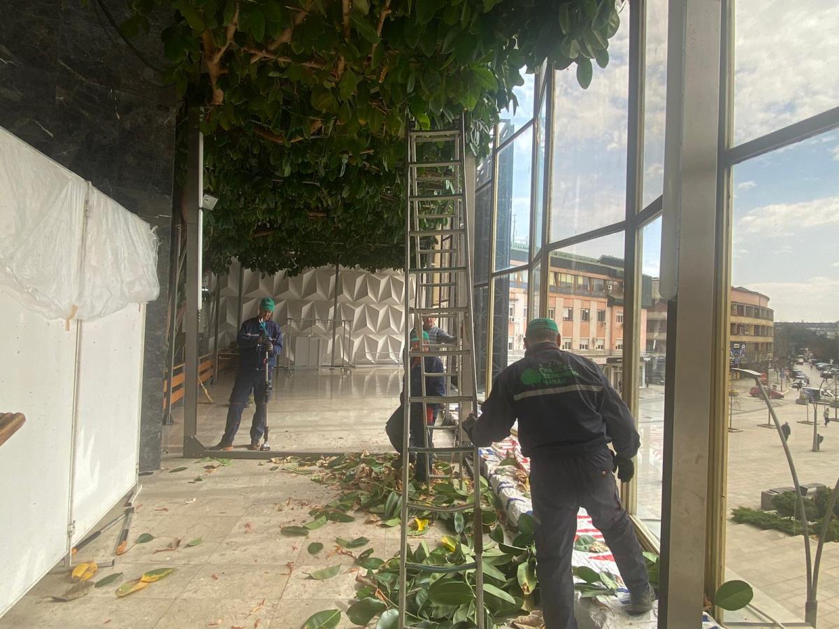 WhatsApp Image 2026-03-24 at 15.54.42 (3).jpeg