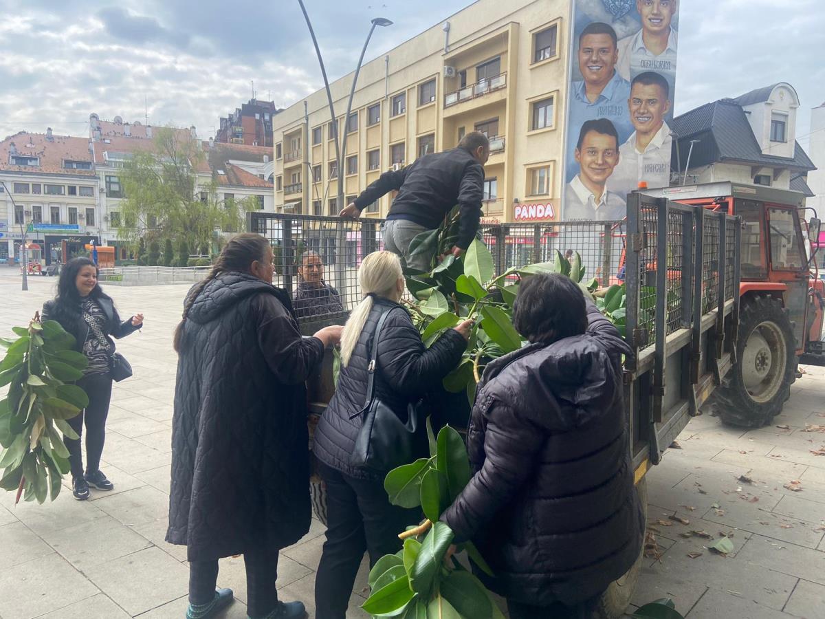 WhatsApp Image 2026-03-24 at 15.54.42 (4).jpeg