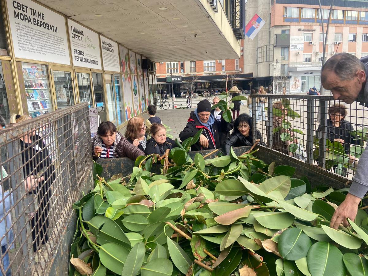 WhatsApp Image 2026-03-24 at 15.54.42.jpeg