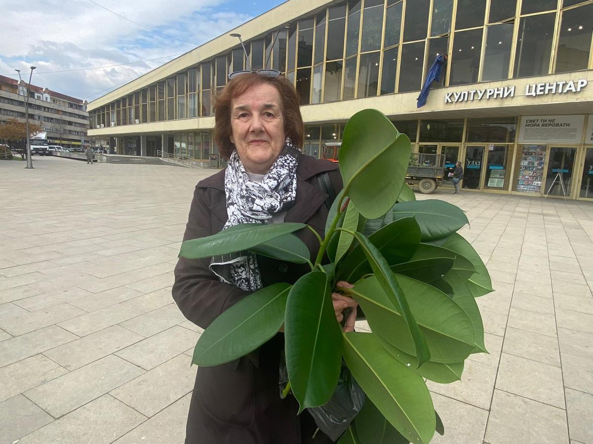 WhatsApp Image 2026-03-24 at 15.54.43.jpeg