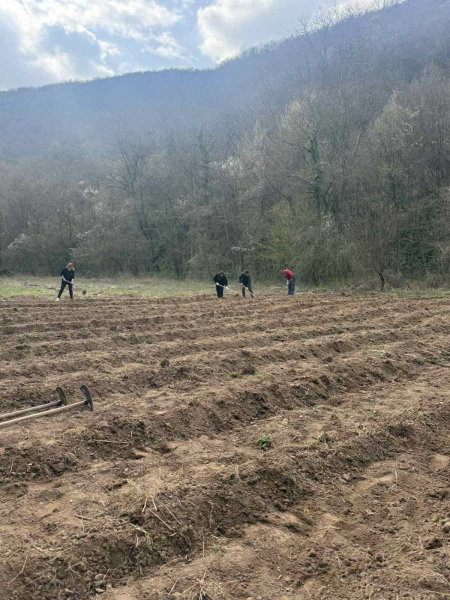 WhatsApp Image 2026-03-24 at 19.09.45.jpeg