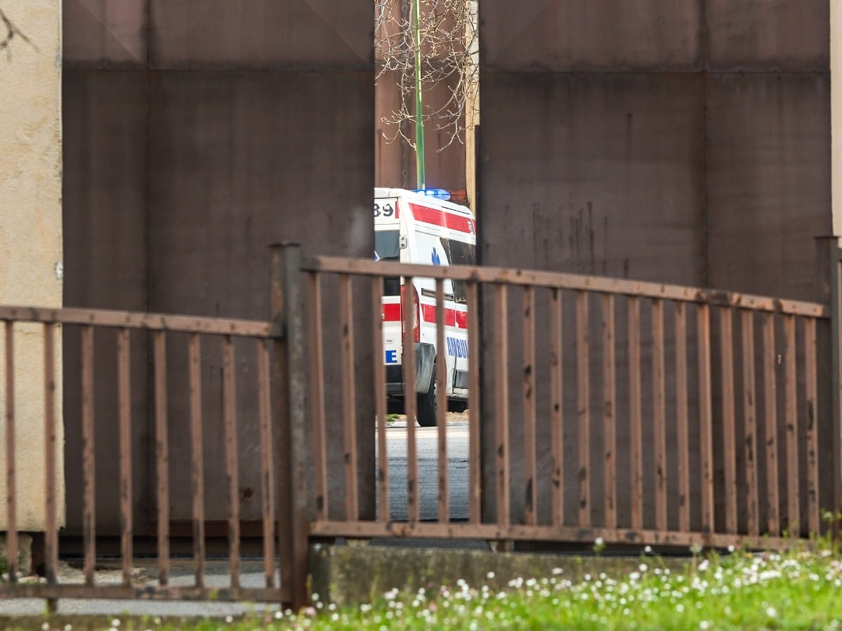 WhatsApp Image 2026-03-25 at 08.32.03 (1).jpeg