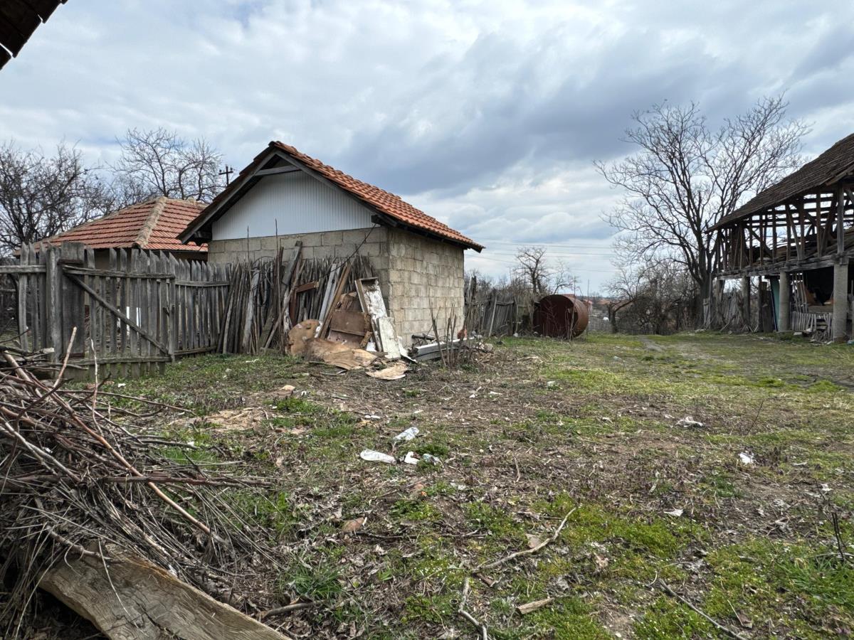 Danka Ilić Radoslav Dragijević (6).jpeg