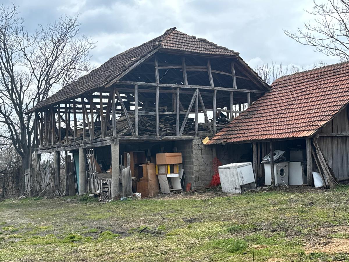 Danka Ilić Radoslav Dragijević (7).jpeg