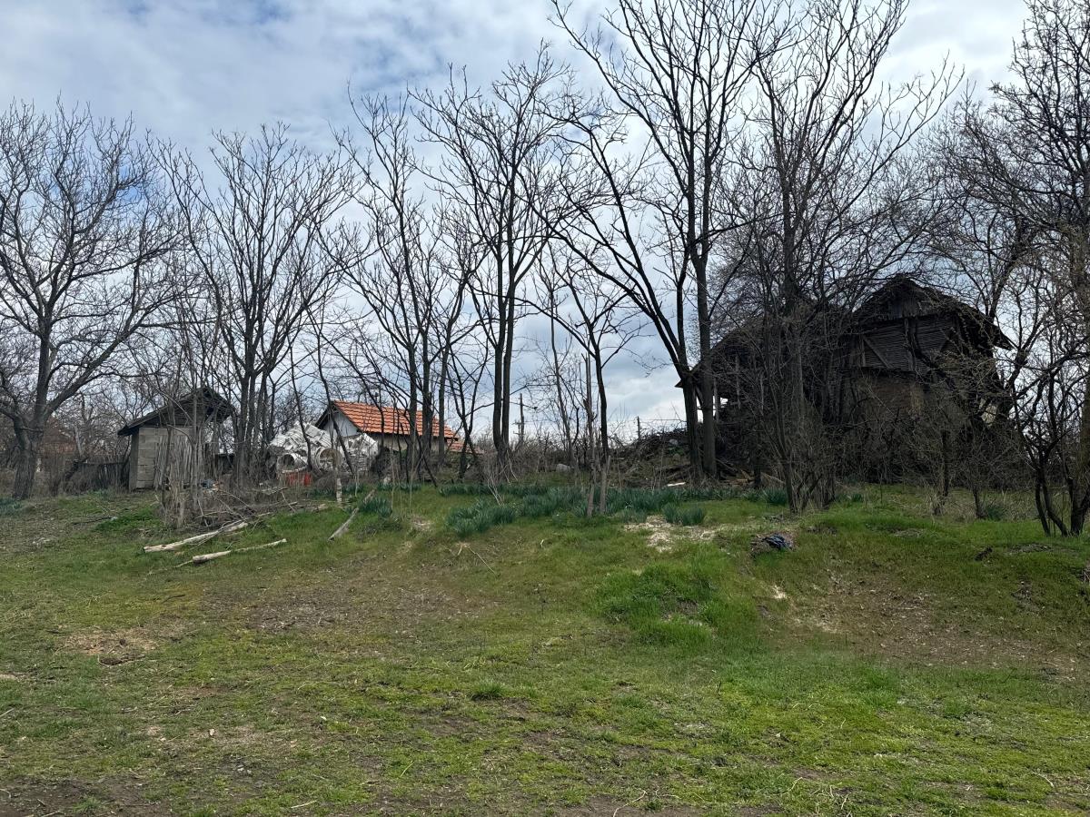 Danka Ilić Radoslav Dragijević (10).jpeg