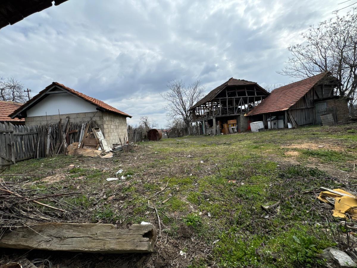 Danka Ilić Radoslav Dragijević (11).jpeg