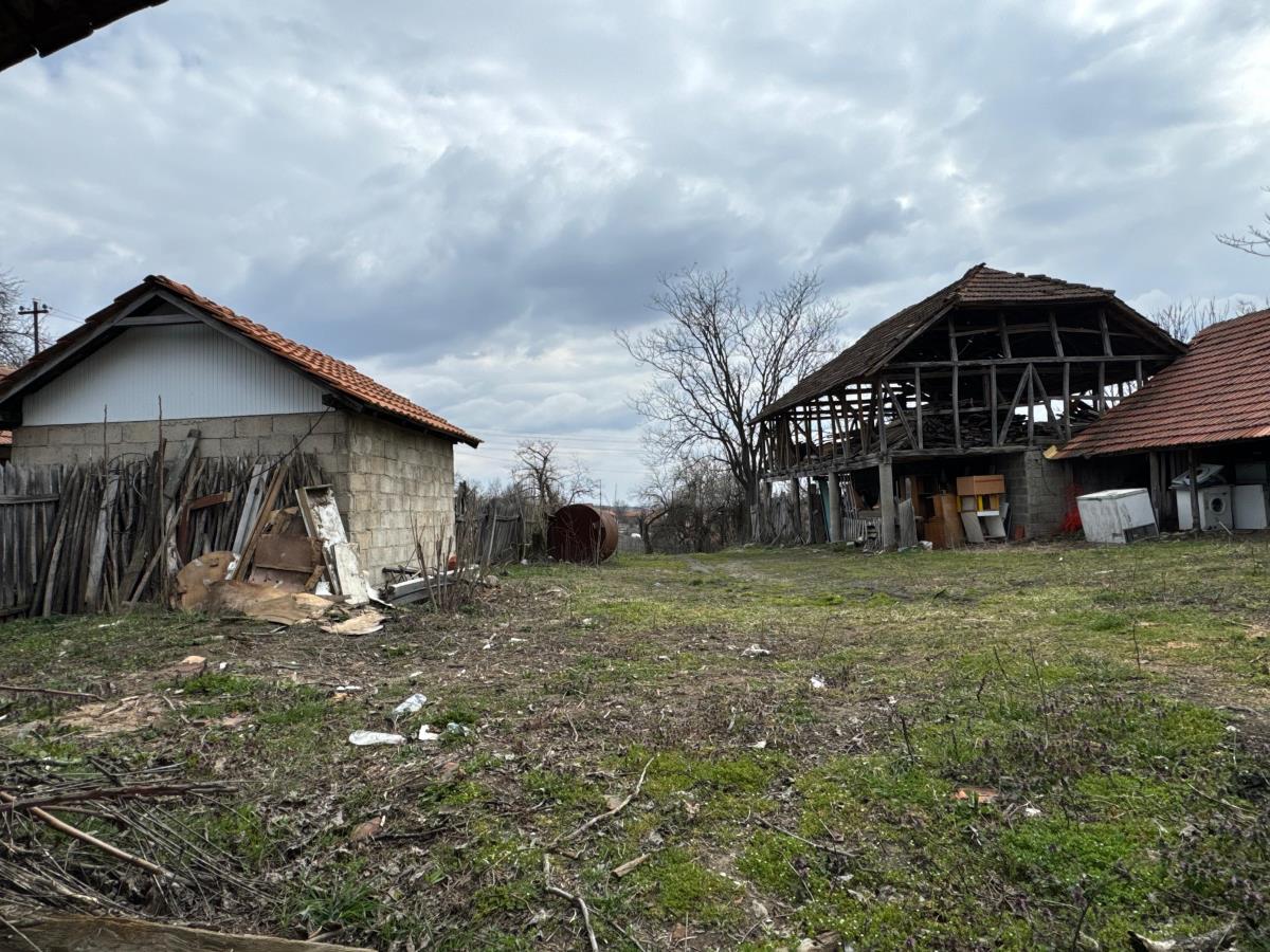 Danka Ilić Radoslav Dragijević (12).jpeg