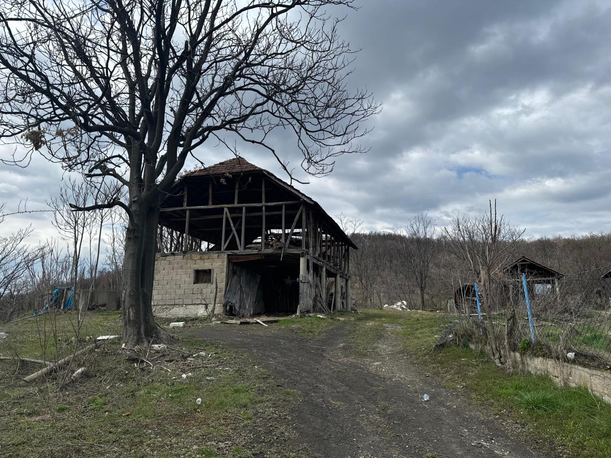 Danka Ilić Radoslav Dragijević (13).jpeg