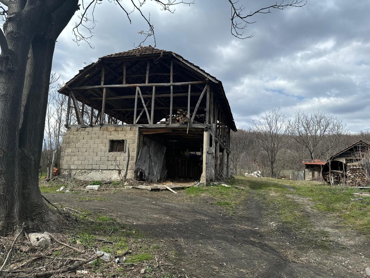 Danka Ilić Radoslav Dragijević (14).jpeg