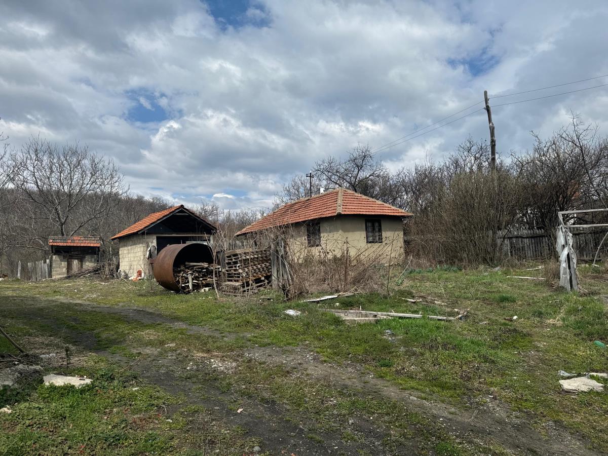 Danka Ilić Radoslav Dragijević (15).jpeg