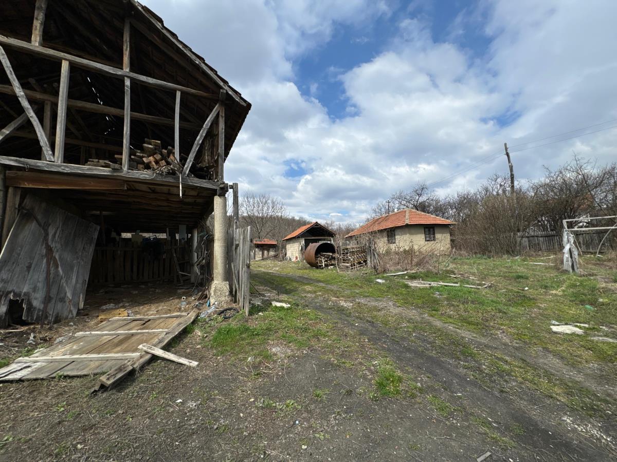 Danka Ilić Radoslav Dragijević (16).jpeg