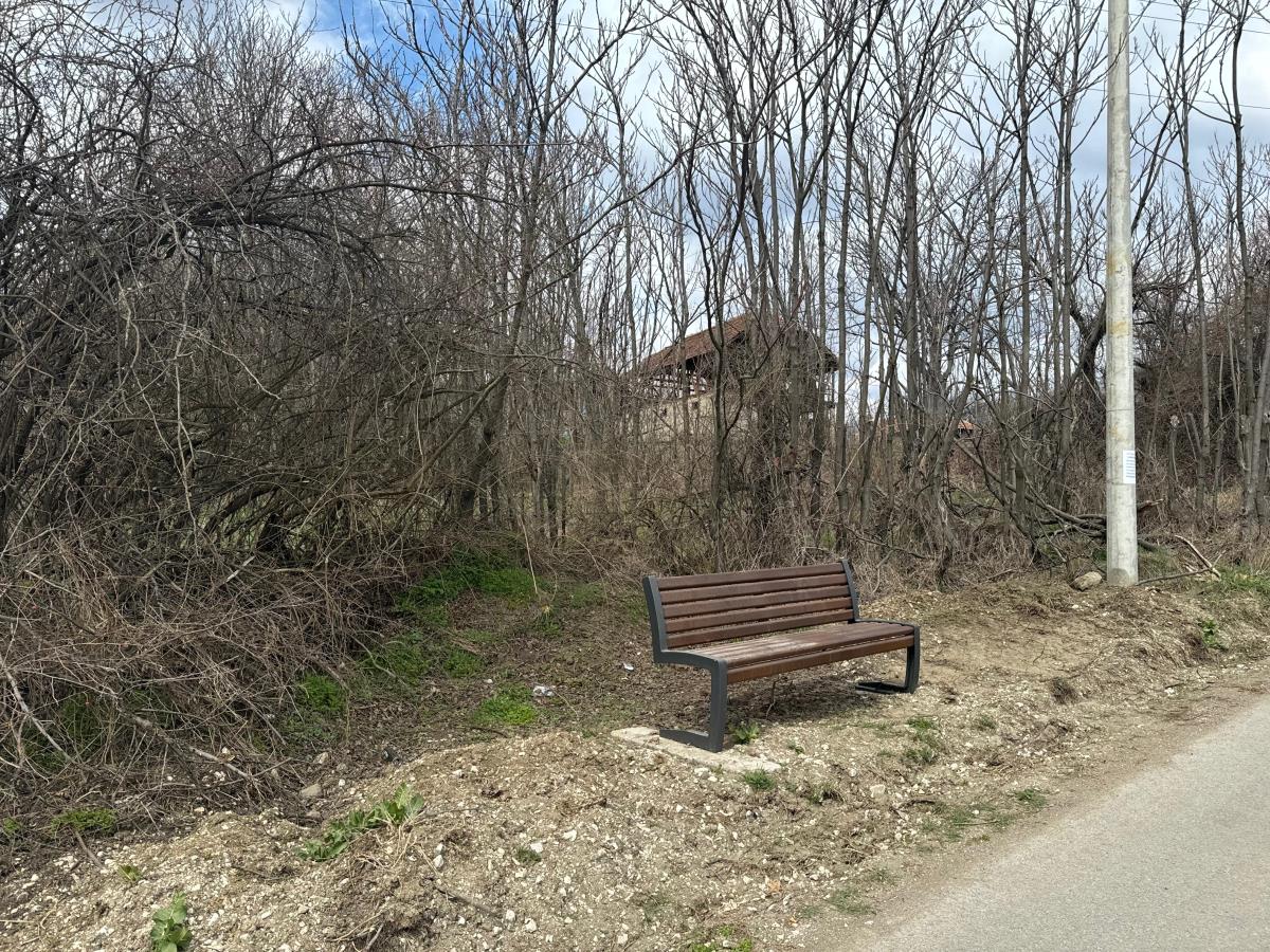 Danka Ilić Radoslav Dragijević (17).jpeg