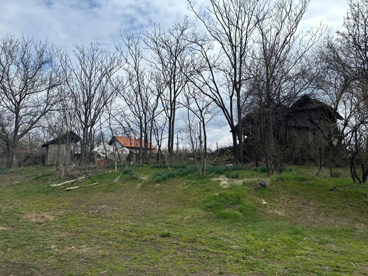 Danka Ilić Radoslav Dragijević (20).jpeg