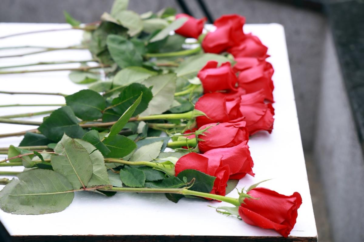 Milica Đurđević Stamenkovski (4).jpeg