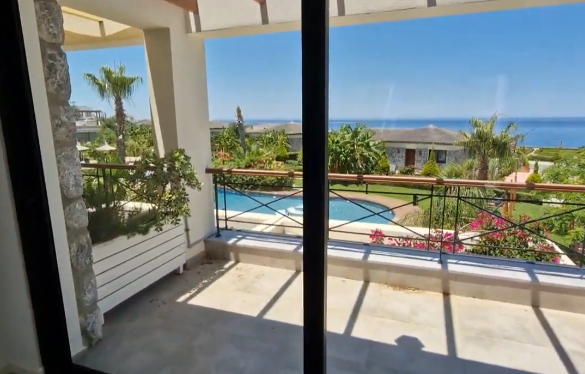 Čedomir Jovanović Aca Maldivi (5).png