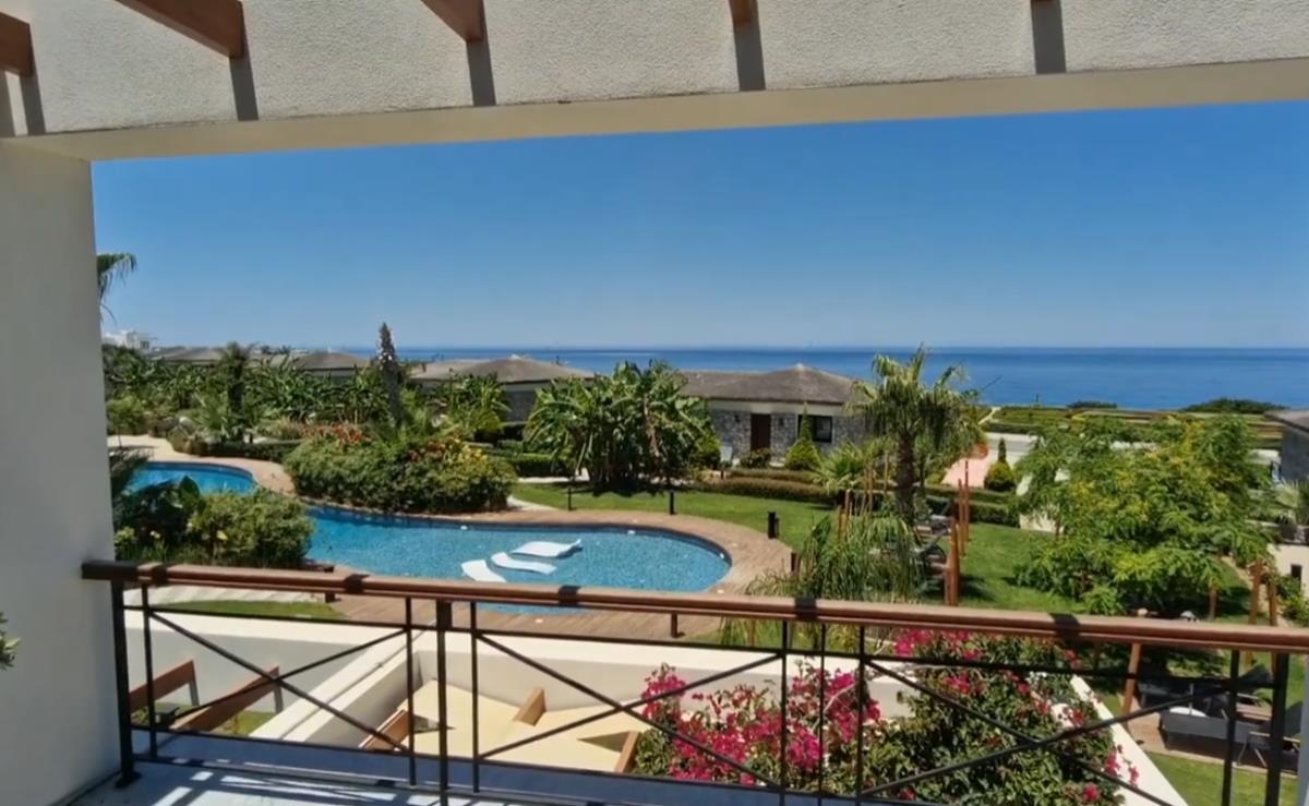 Čedomir Jovanović Aca Maldivi (6).png