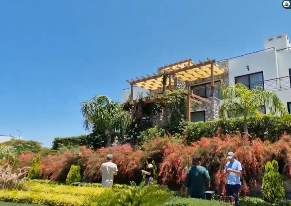 Čedomir Jovanović Aca Maldivi (7).png