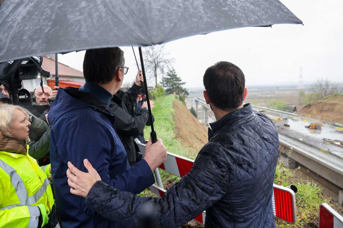 WhatsApp Image 2026-03-28 at 10.19.53 (1).jpeg