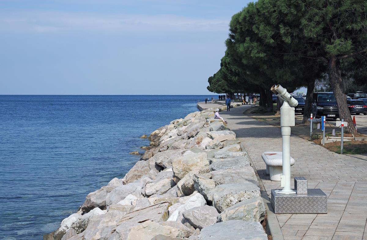 foto Nikola Zoko (29).JPG