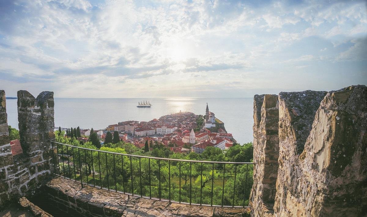 foto Nikola Zoko (31).JPG