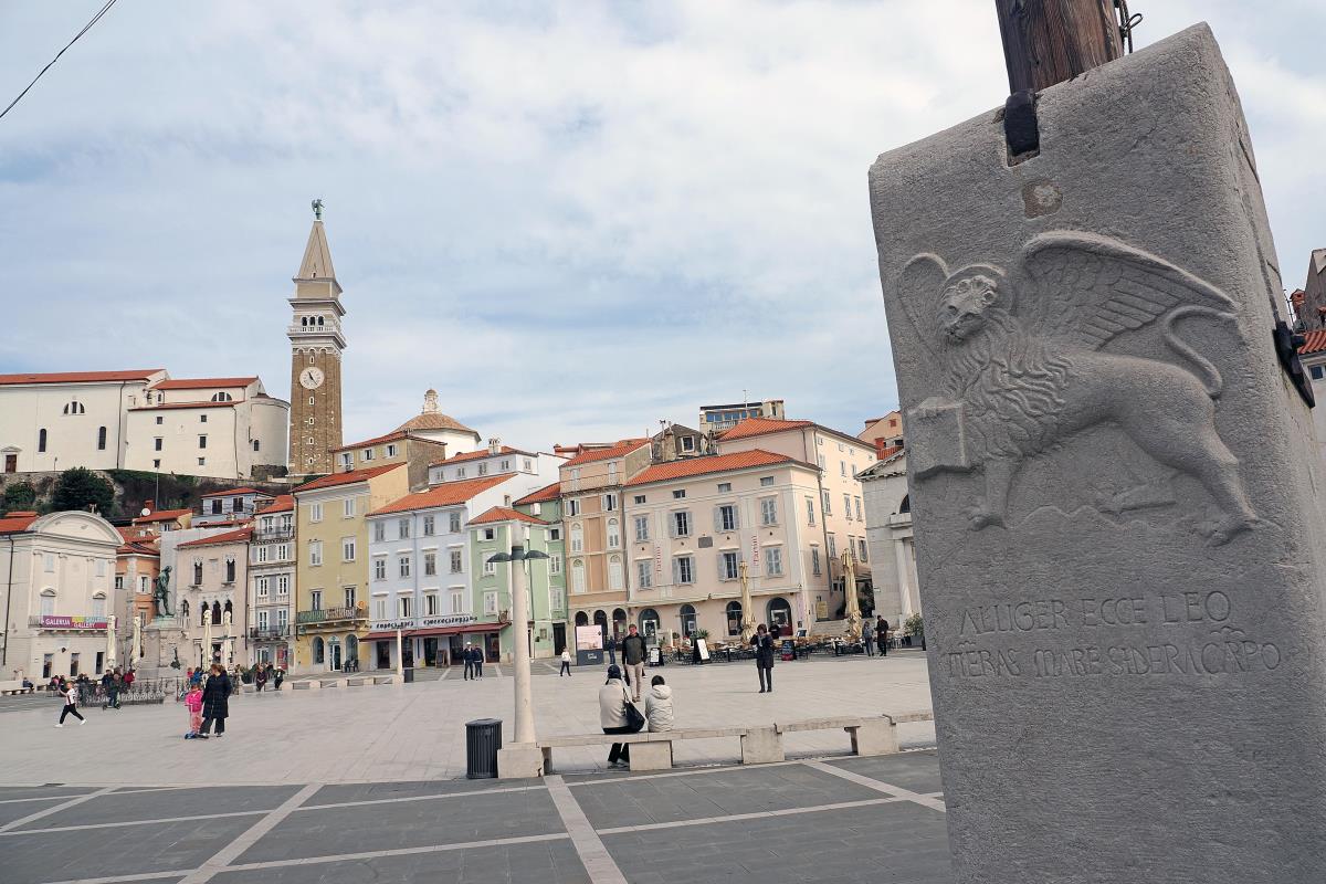 foto Nikola Zoko (34).JPG