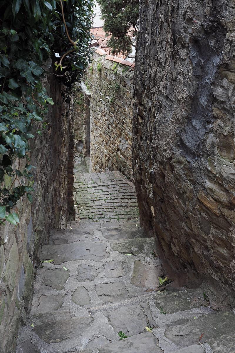 foto Nikola Zoko (41).JPG