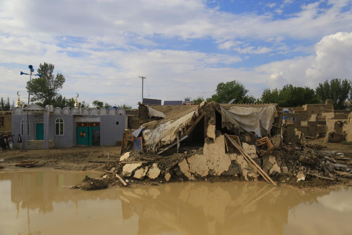 105 EPA Stringer.jpg