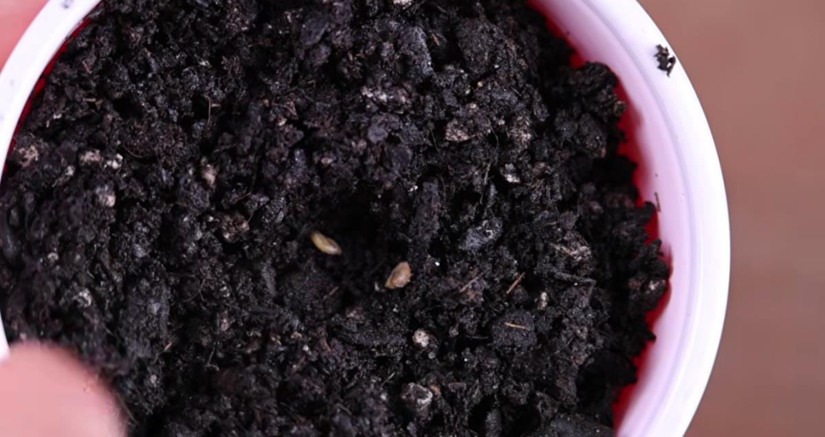 Screenshot 2026-03-30 154313.png