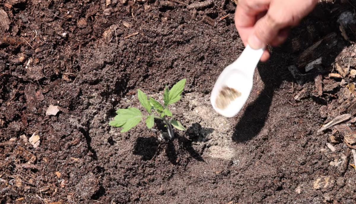 Screenshot 2026-03-30 154348.png