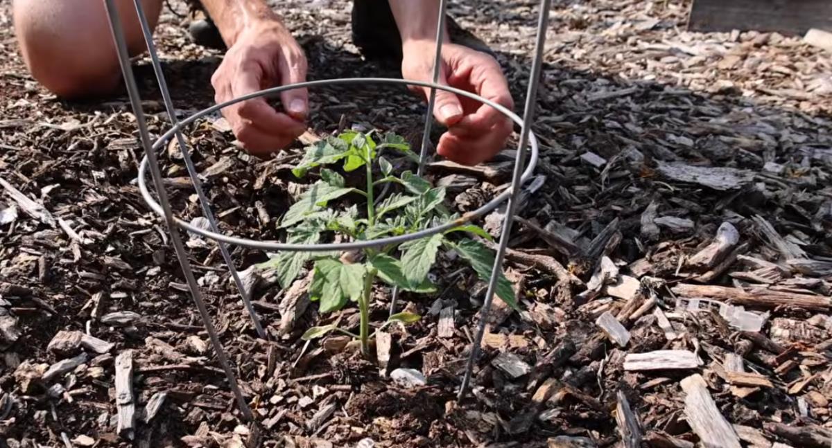 Screenshot 2026-03-30 154400.png